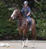 Starting Young Horses Starting Young Horses